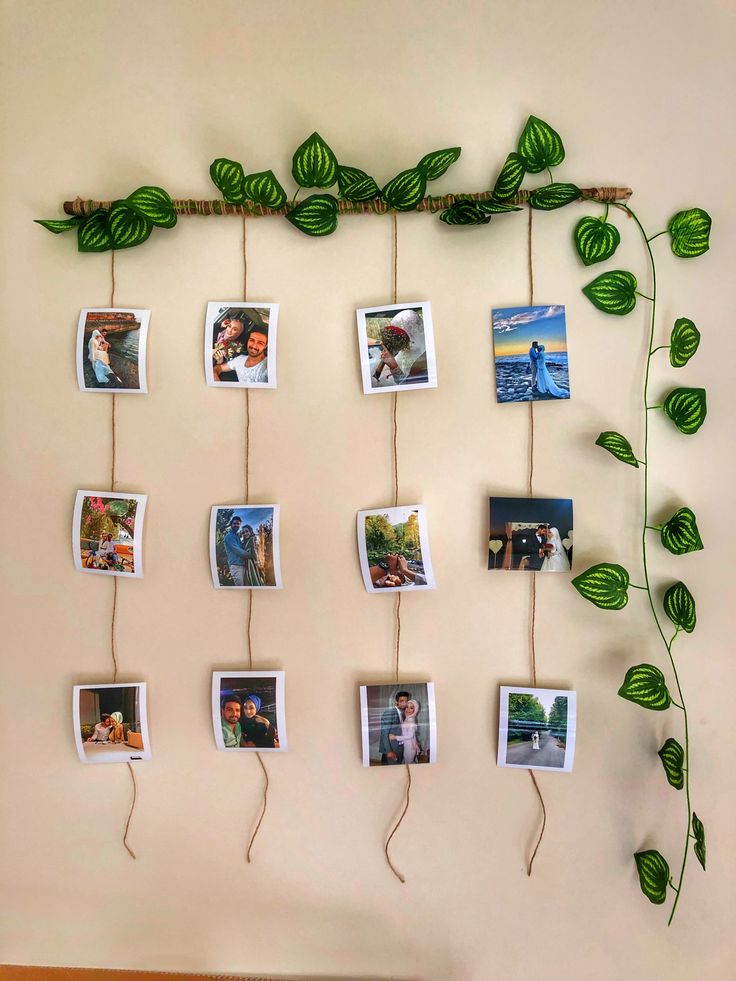 several pictures are hanging on a wall with green leaves attached to the branches and photos hang from them