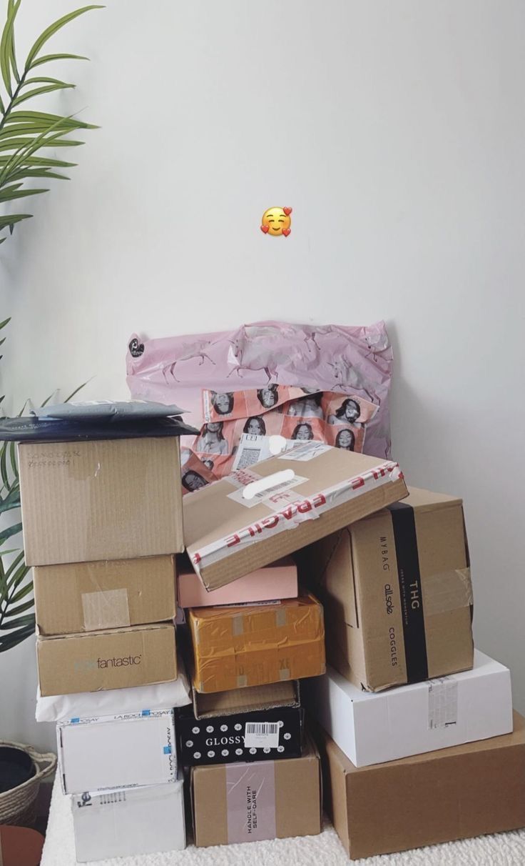 a pile of boxes sitting on top of a white rug next to a potted plant