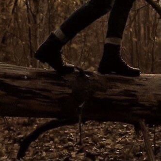 a person standing on top of a log in the middle of some leaves and trees