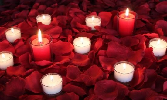 many lit candles surrounded by red petals