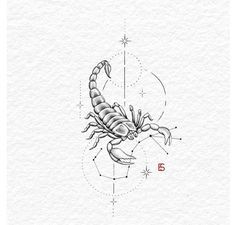 a drawing of a scorpion sitting on top of a piece of paper with the word zodiac written