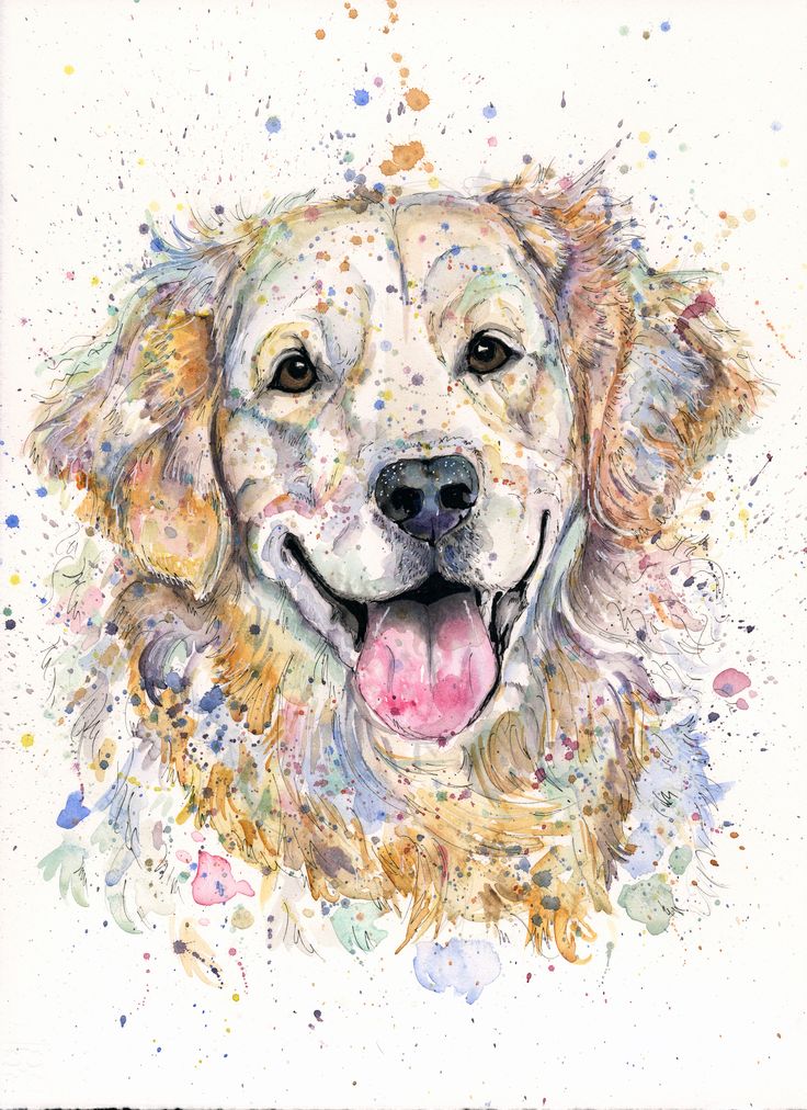 a watercolor painting of a dog's face with its tongue out and his eyes open