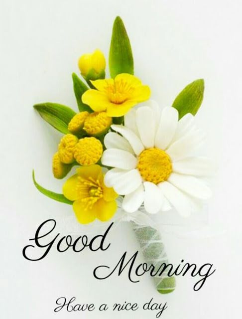 a bouquet of flowers with the words good morning have a nice day written on it