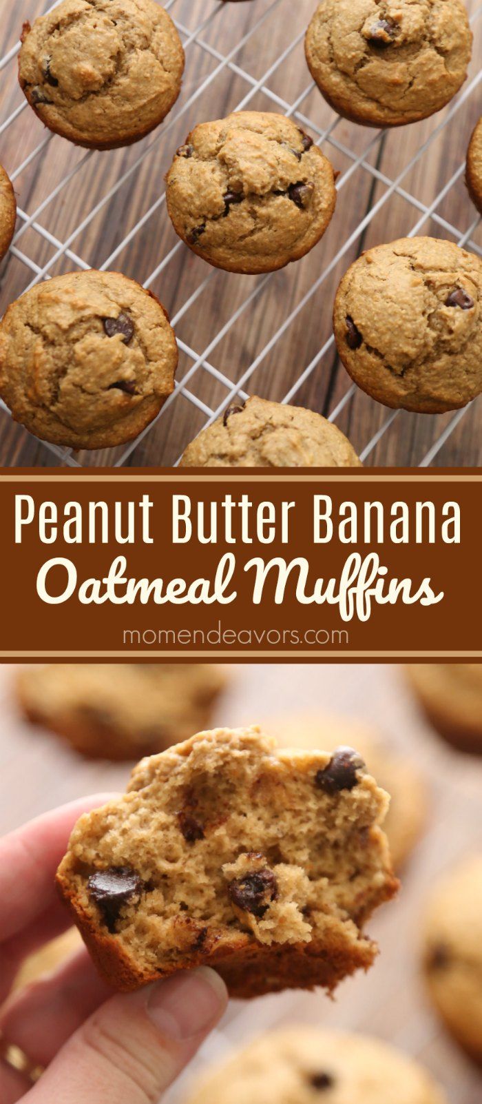 peanut butter banana oatmeal muffins with chocolate chips in the middle