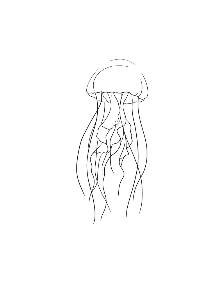 a black and white drawing of a jellyfish on a white background with the words, how to draw jellyfish