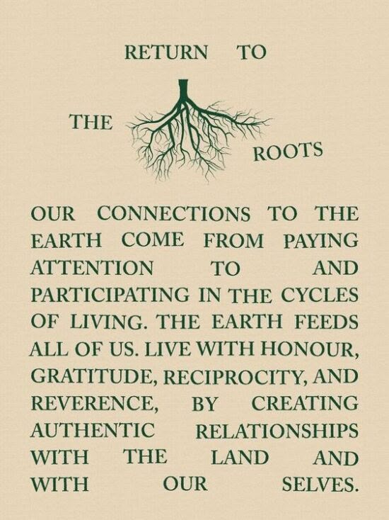 a poem written in green ink with the words return to the roots and four connections to the earth come from paying attention