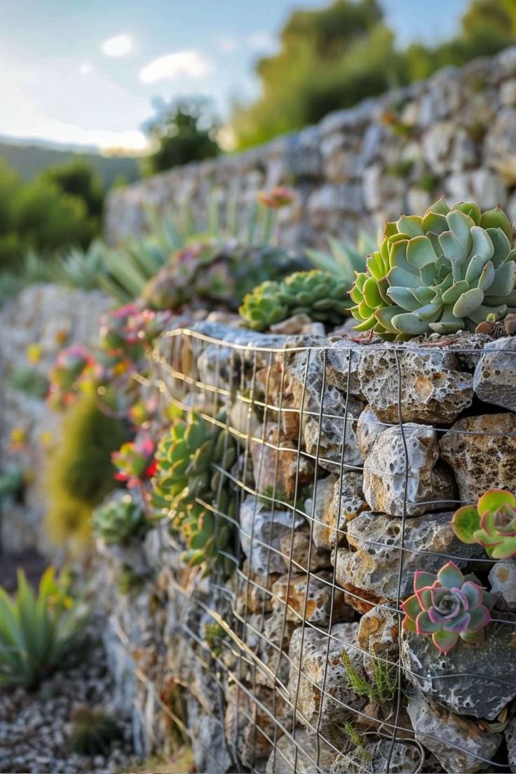 there are many succulents growing on the stone wall and behind it is a wire fence