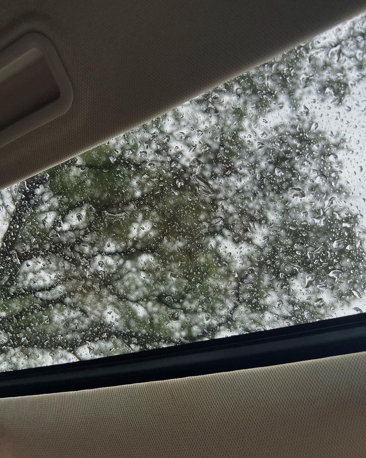 the view from inside a car looking up at snow on the ground and trees outside