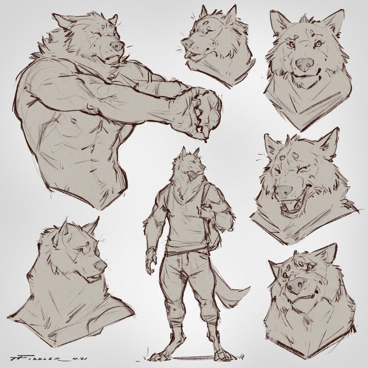 an animal character poses in various poses, including the head and body of a wolf