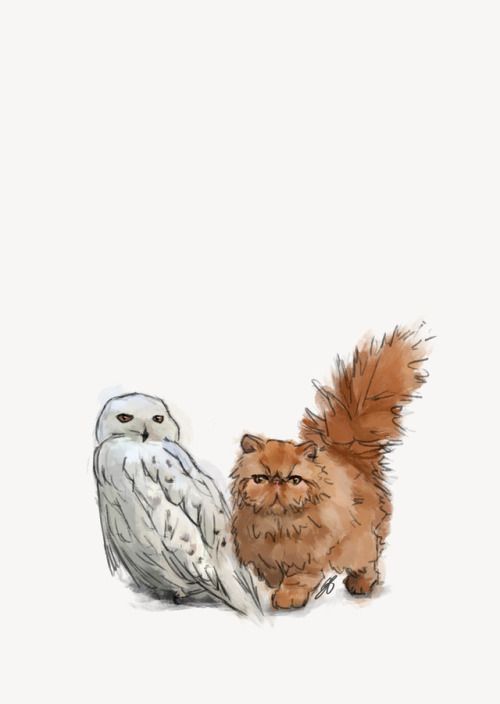 an owl and a cat standing next to each other