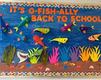 a bulletin board with paper cut out of fish on it's back to school