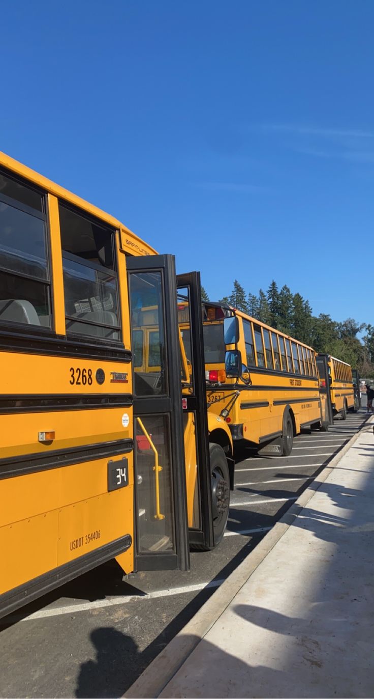 a row of yellow school buses parked next to each other on the side of a road