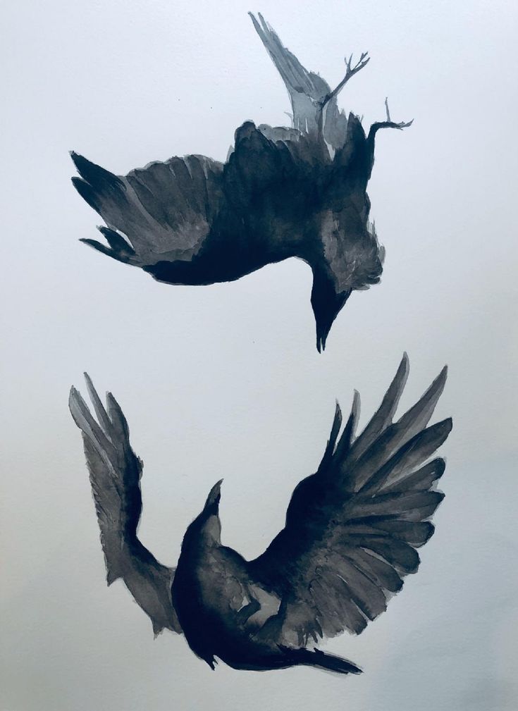 two black birds are flying in the sky