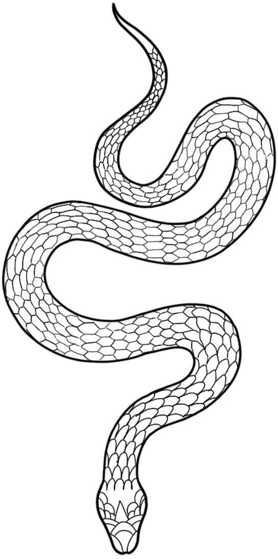 a black and white drawing of a snake