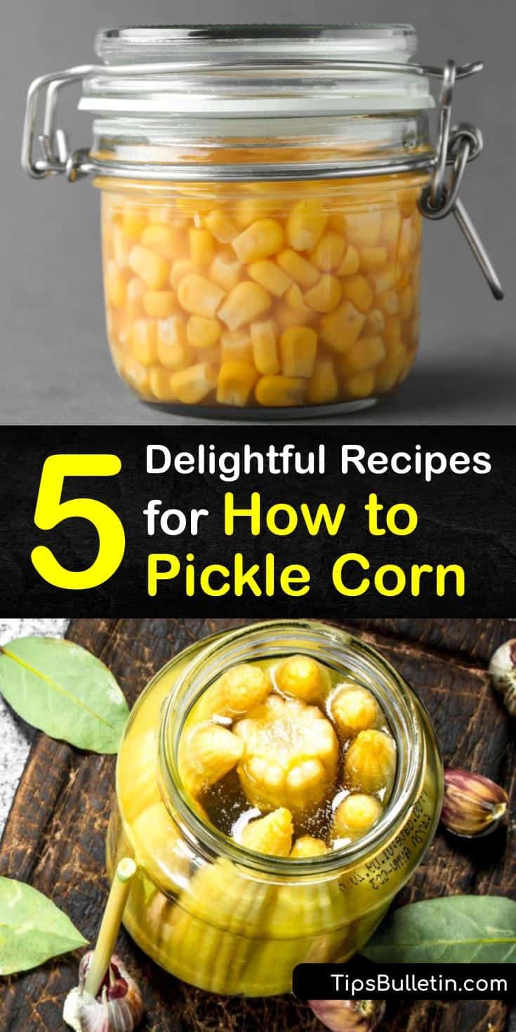 four different pictures with text that says 5 delightful recipes for how to pickle corn