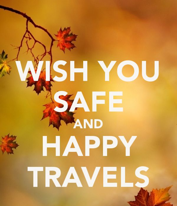 the words wish you well and safe travels are written in white on a background of autumn leaves