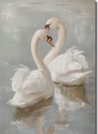 two white swans are swimming in the water with their heads touching each other's necks