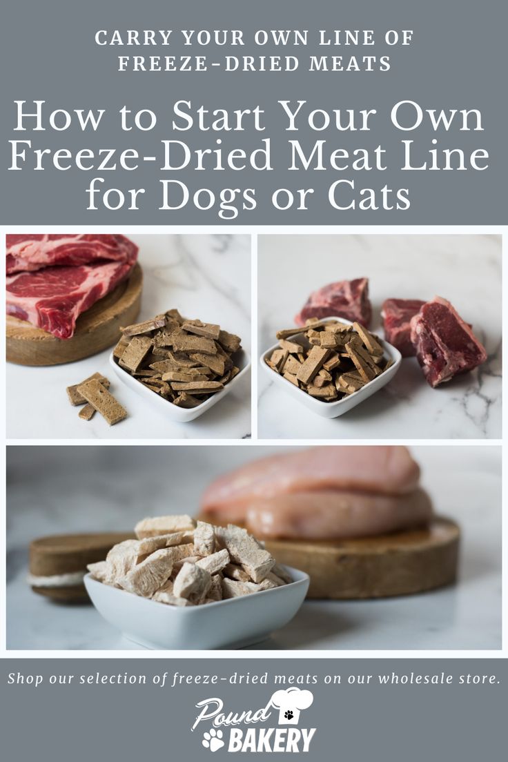 an advertisement for freeze - dried meat and cat food