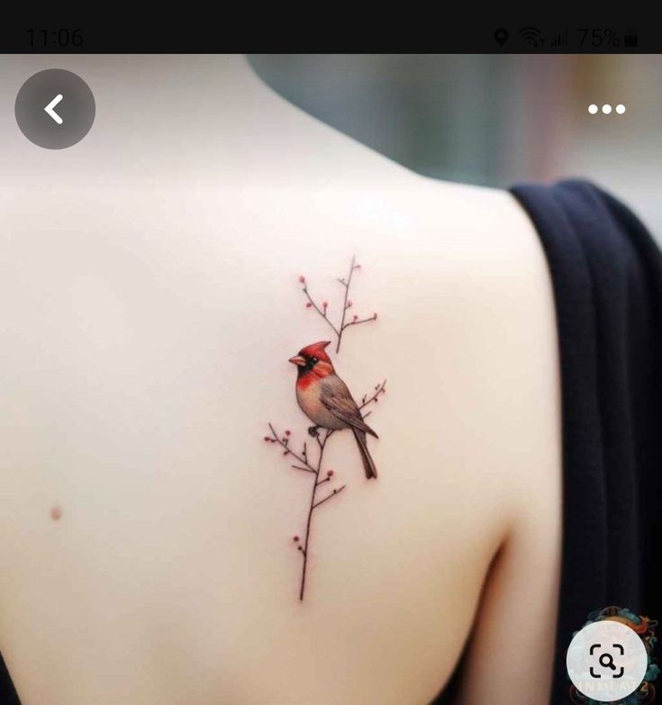 a small bird on the back of a woman's upper arm and shoulder tattoo