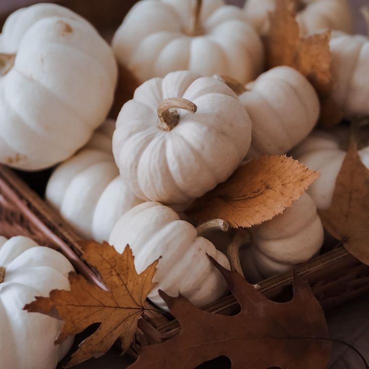 white pumpkins and leaves in a wicker basket on a table with autumn leaves