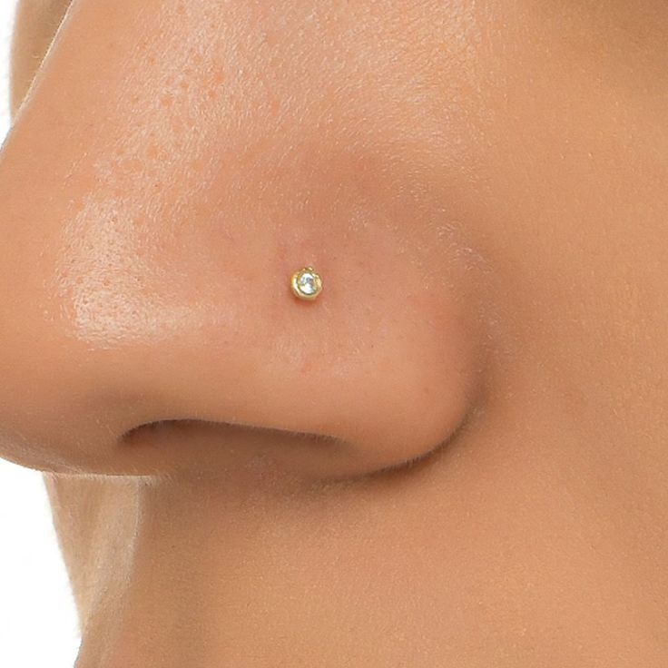 a woman's nose has a tiny diamond on it, as well as the tip of her nose