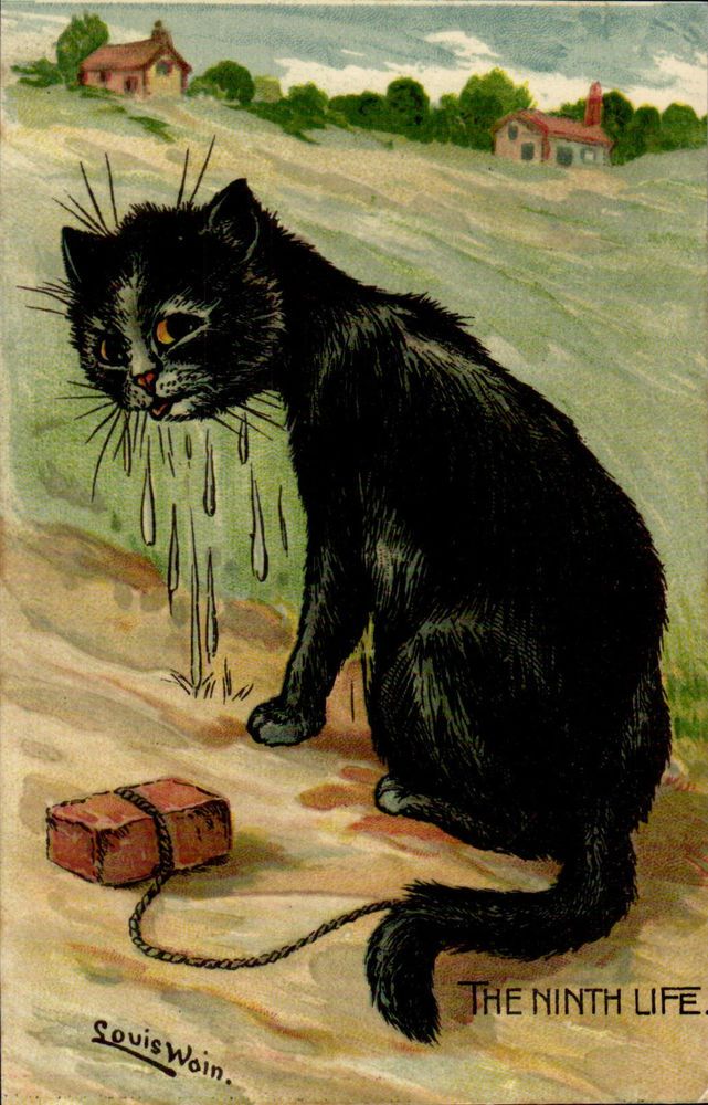 a black cat sitting on the ground next to a red box with water coming out of it