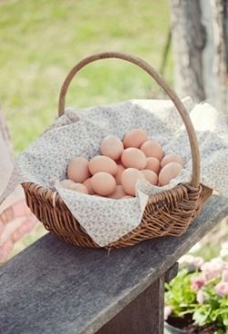 a basket filled with eggs sitting on top of a wooden bench