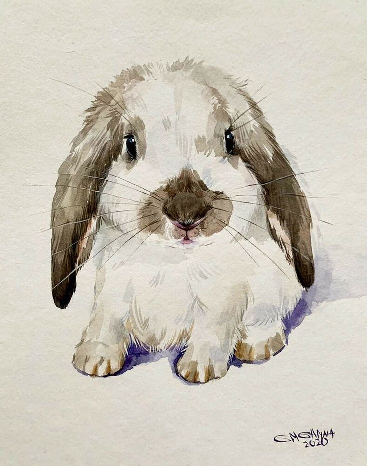 a watercolor painting of a brown and white bunny rabbit sitting on the ground with its eyes open