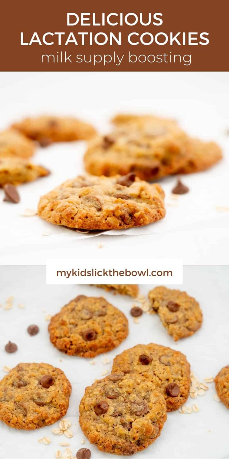 No Bake Lactation Recipes, Easy Lactation Cookies, Breastfeeding Diet To Increase Milk, Vegan Lactation Cookies, Best Lactation Cookies, Breastfeeding Food, Lactation Cookie Recipe, Lactation Recipes Without Brewers Yeast, Lactation Snacks