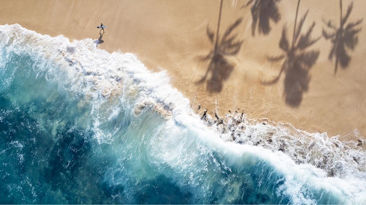 an aerial view of the beach and ocean with palm trees casting long shadows on the sand