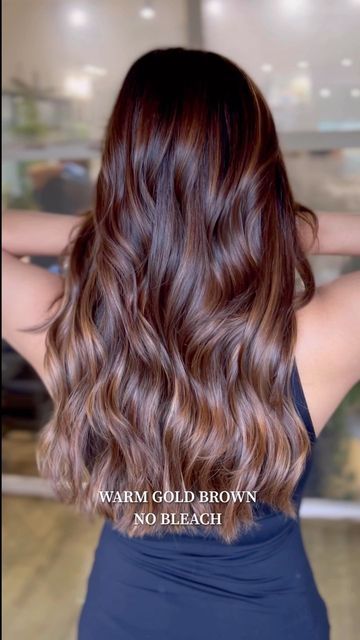 Global Hair Colour For Indian Skin Brown, Balayage For Brown Skin Tone, Hair Colours For Indian Skin Tone, Highlights For Indian Skin Tone, Global Hair Colour For Indian Skin, Global Hair Color For Indian Skin Tone, Balayage For Indian Skin Tone, Hair Color For Indian Skin Tone, Gold Brown Hair Color