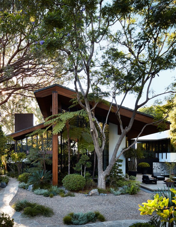 a modern house surrounded by trees and plants