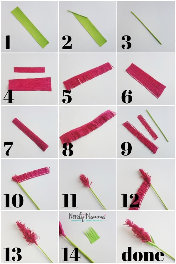 step by step instructions on how to make tissue paper flowers