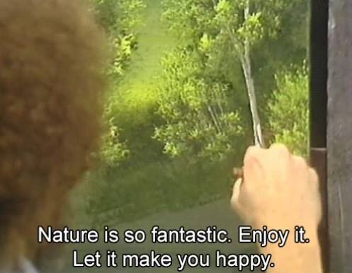 a person is looking out the window at some trees and grass in the distance, with text that reads nature is so fantastic enjoy it let it make you happy