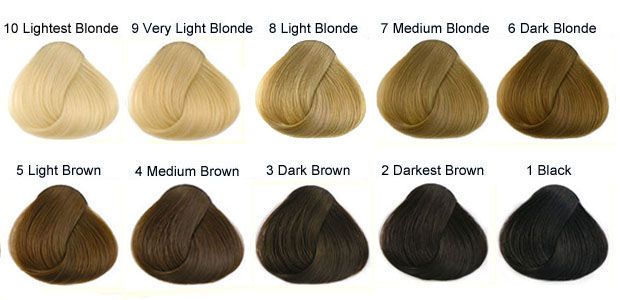 March 2017 - Call me Xiao Qi ♥ Natural Hair Color Chart, Level 8 Hair Color, Levels Of Hair Color, Hair Levels, Hair Science, Brown Hairstyles, Hair Color Brands, Bleaching Your Hair, Medium Brown Hair