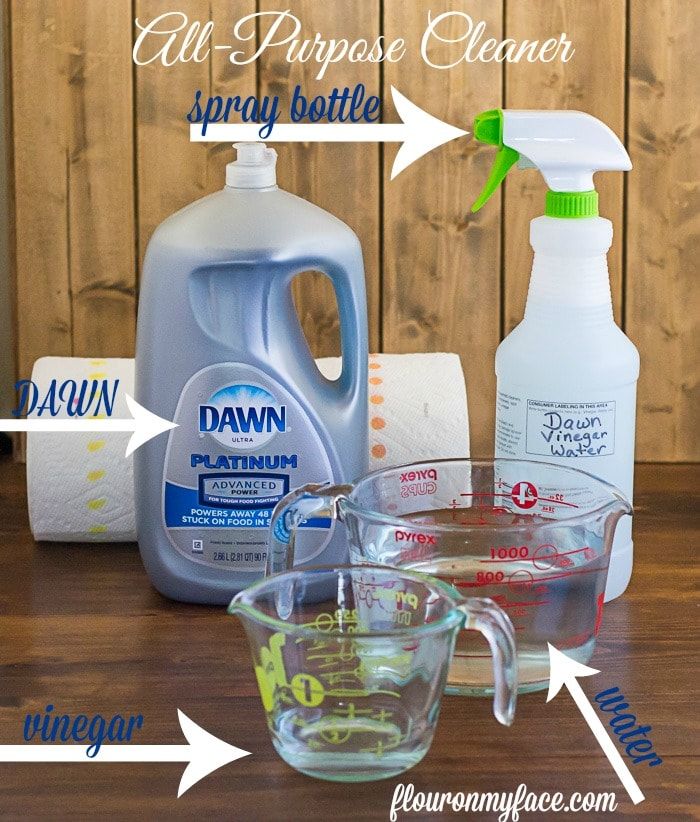 the ingredients to make diy dishwash