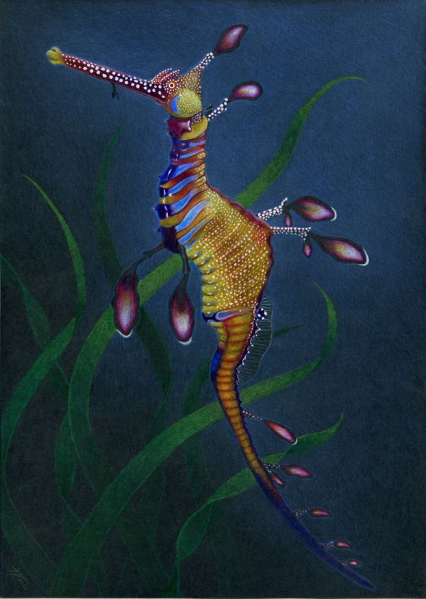 a painting of a colorful seahorse in the water with lily pads on it's back legs