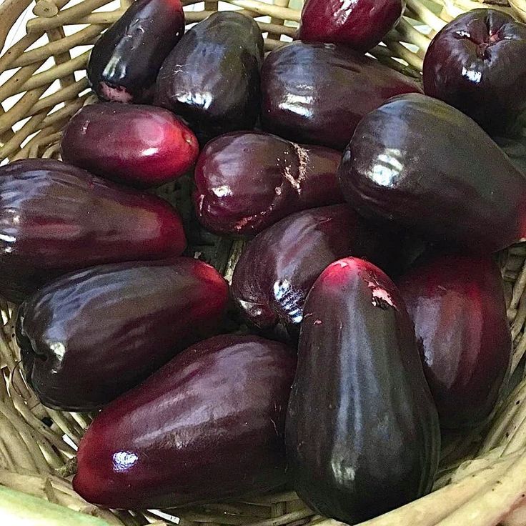 an eggplant in a wicker basket on a table