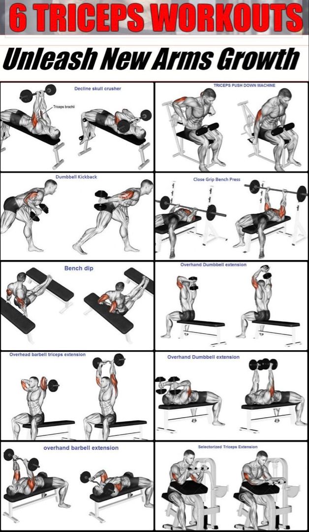 Tricep Workout Gym, Upper Body Workout Gym, Big Biceps Workout, Chest And Tricep Workout, Bicep And Tricep Workout, Tricep Workout, Workout Gym Routine, Gym Workout Guide, Latihan Dada