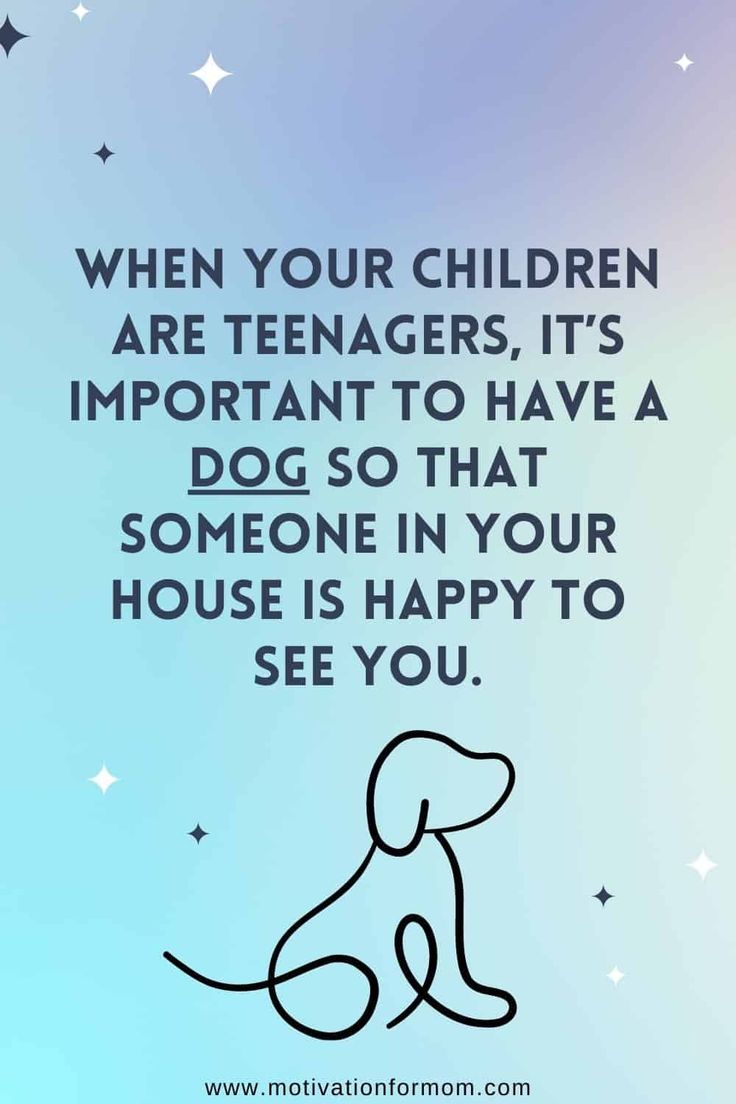 a dog sitting on top of a table next to a blue background with stars and the words when your children are teenagers, it's important to have a dog so that someone in