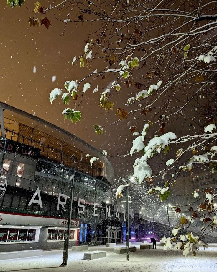 a snowy night at an arena with trees and people walking in the snow near it