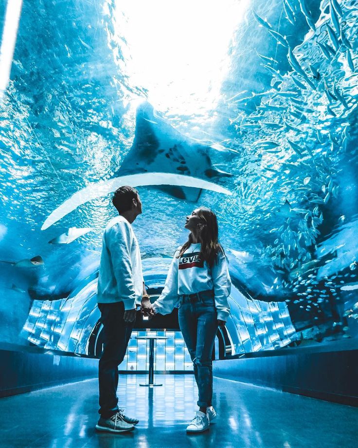 two people standing in front of an aquarium