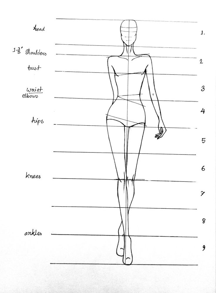 a drawing of a woman's body, with the names and description on it