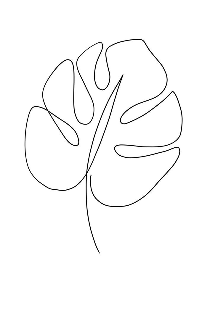 a single line drawing of a leaf