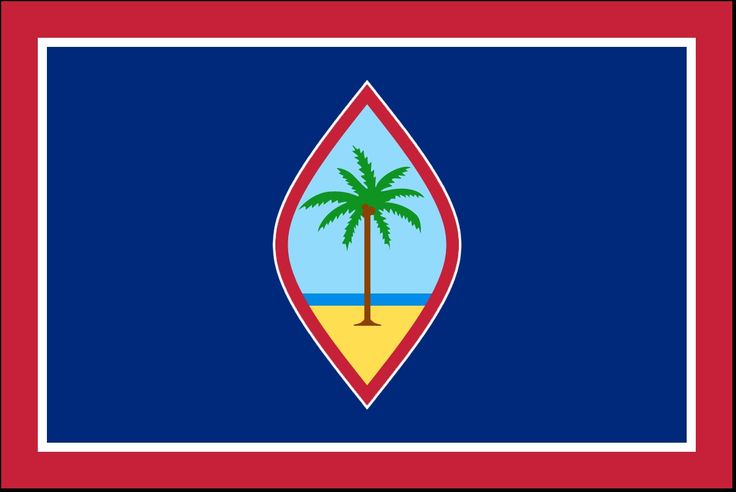 the flag of south carolina is shown in red, white and blue with a palm tree