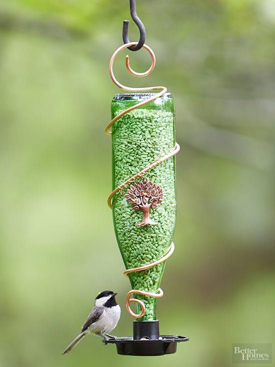 a bird that is sitting on a bird feeder