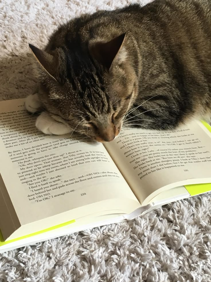 a cat laying on top of an open book with its head resting on it's paw