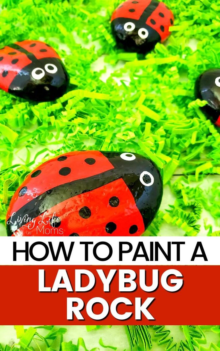 painted ladybug rocks with the words how to paint a ladybug rock