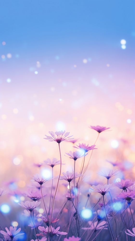 purple flowers are in the foreground with bright blue and pink lights behind them, on a sunny day