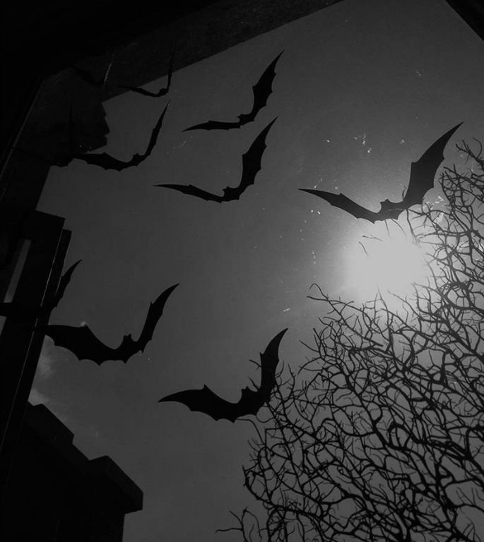 black and white photograph of bats flying in the night sky with tree silhouettes below